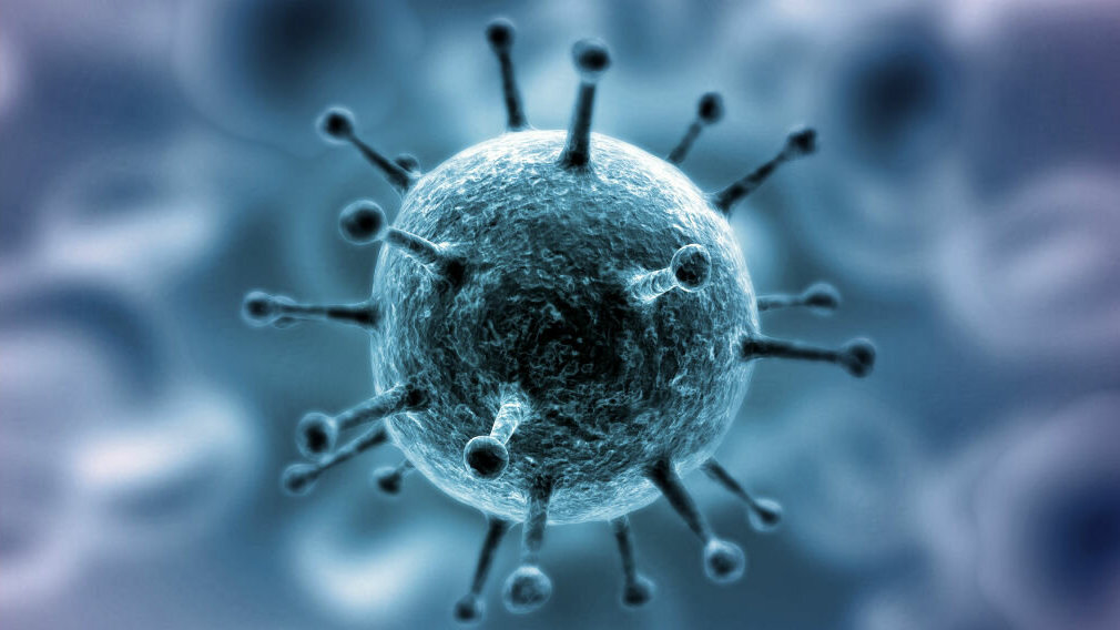 коронавирус, вирус, вирус под микроскопом