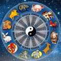Что ждёт нас в год Крысы по Китайскому календарю