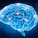 15 Научных фактов о мозге